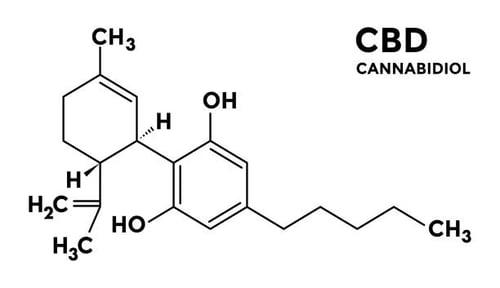 Tratamento com Canabidiol (CBD)