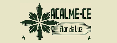 acalme-ce-flor-da-luz-2