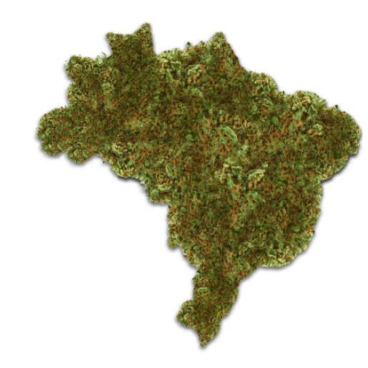 Cannabis no Brasil