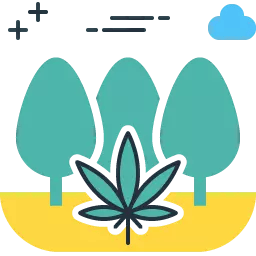 Cultivo coletivo: Associação de Cannabis AbraRio