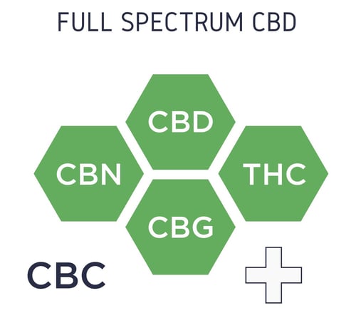 Full Spectrum CBD e Canabinoides