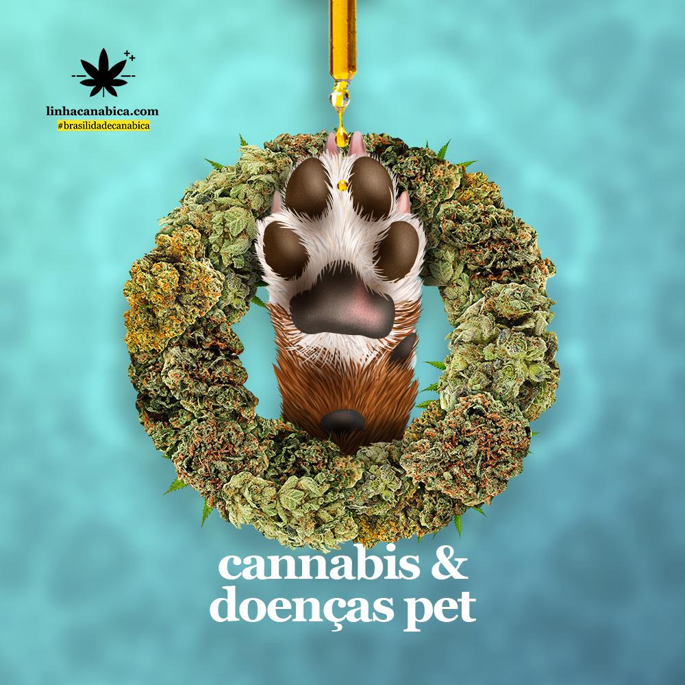 Óleo de Cannabis para Pets
