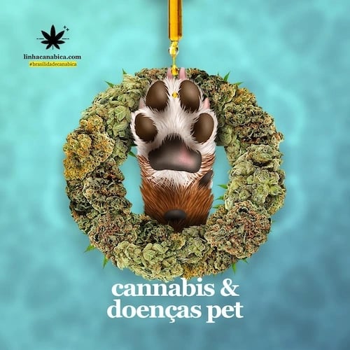 Óleo de Cannabis para Pet