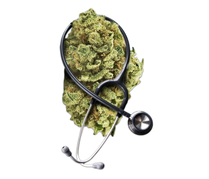 Profissional de Saúde e Cannabis Medicinal