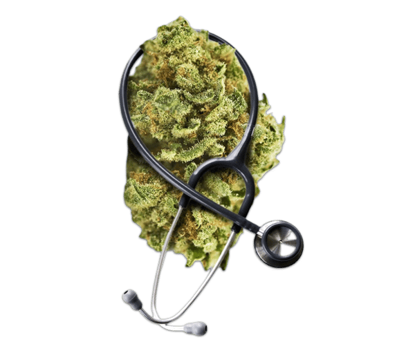 Profissional de Saúde e Cannabis Medicinal