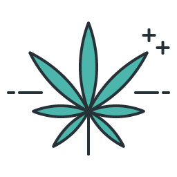 Flores de Cannabis