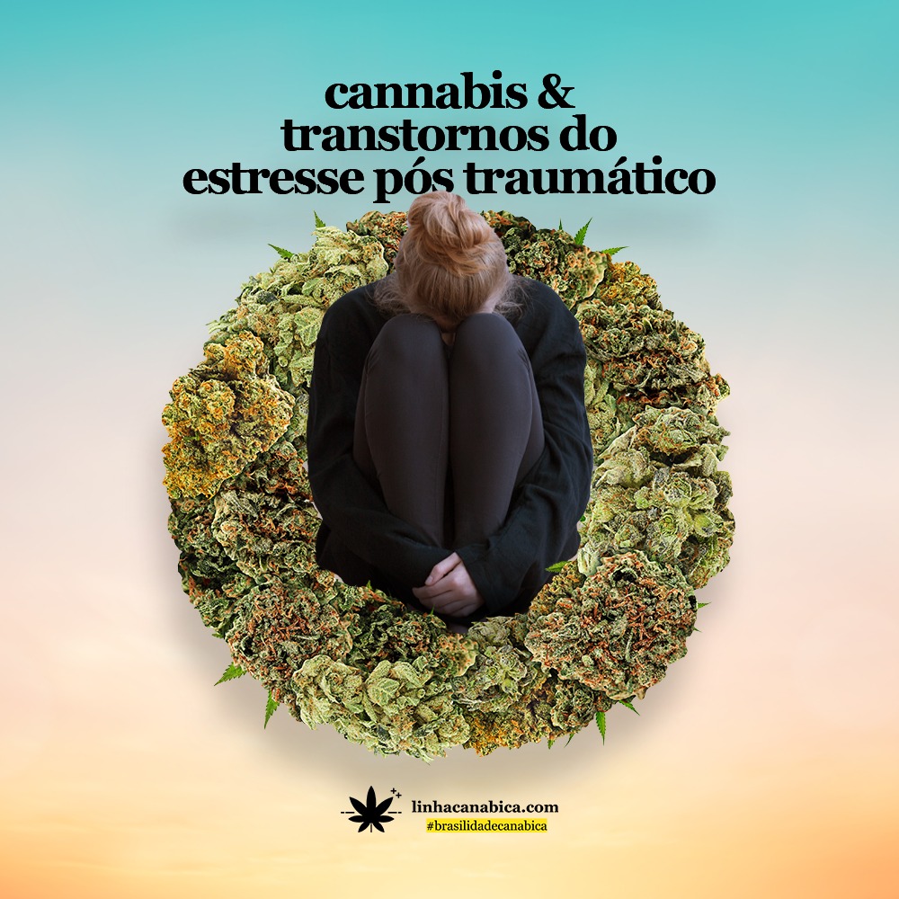 Cannabis no tratamento do Transtorno do Estresse Pós-Traumático