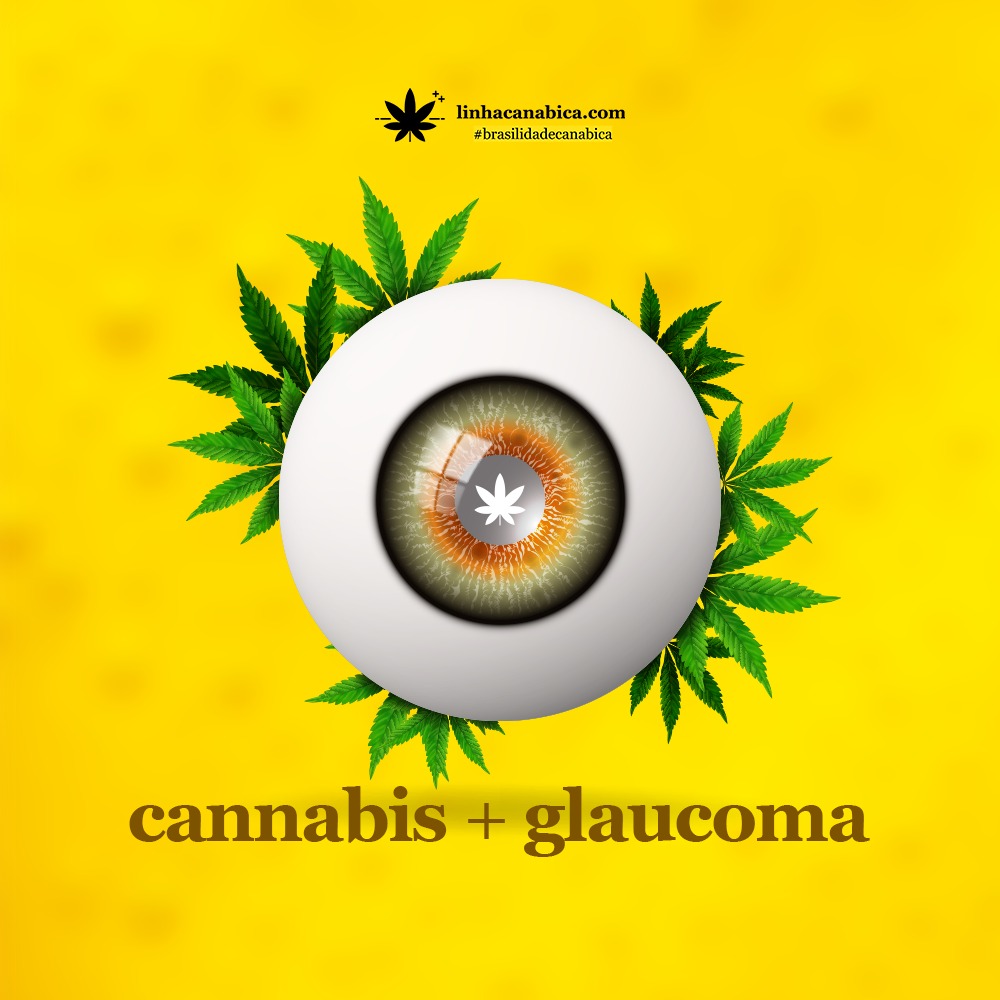 Cannabis no tratamento do glaucoma: o que os estudos dizem?