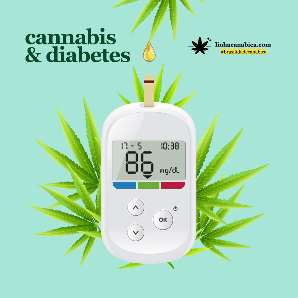 Cannabis e diabetes: como a maconha pode ajudar os pacientes?