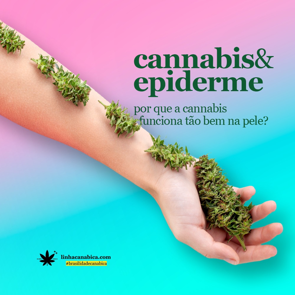 cannabis-epiderme