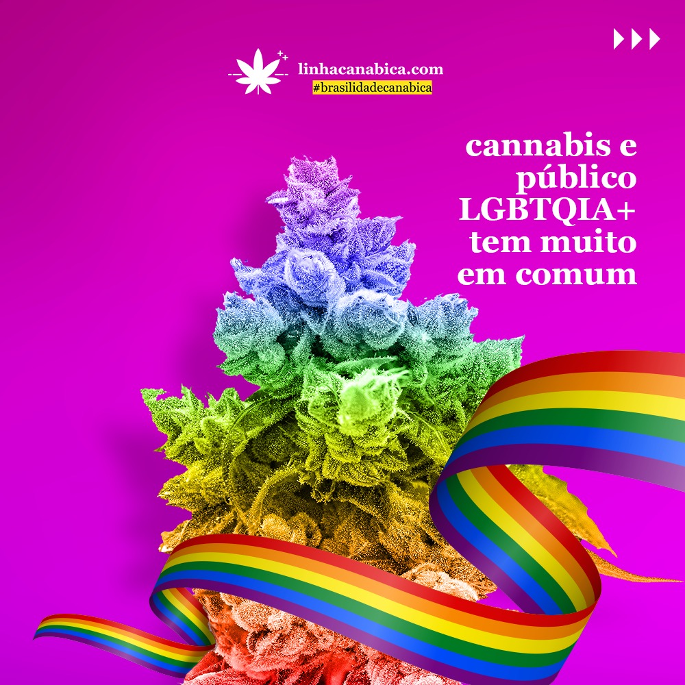 Cannabis e LGBTfobia - da colonização ao movimento de contracultura