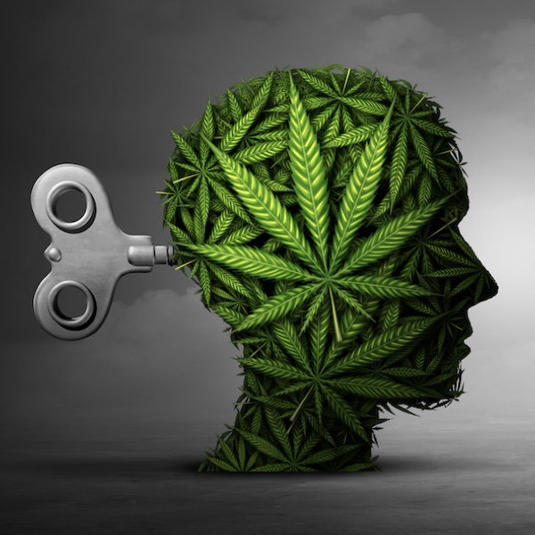 O que não te contaram sobre esquizofrenia e cannabis