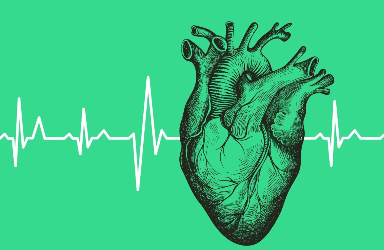 O uso de maconha pode causar palpitações cardíacas?