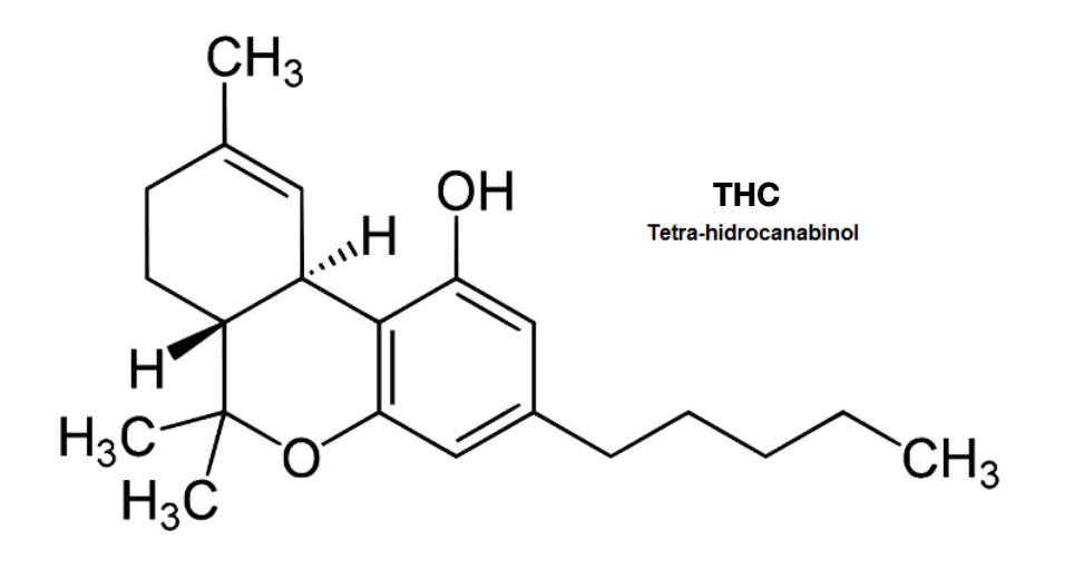 Tratamento com Tetrahidrocanabinol (THC)