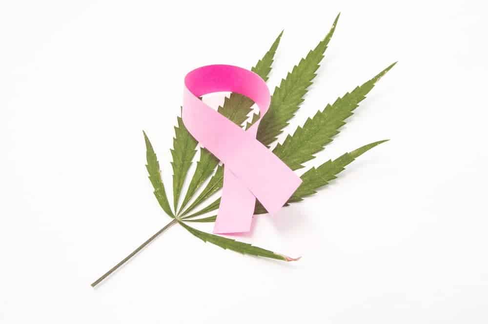 A Contribuição da Cannabis Medicinal no Tratamento Oncológico